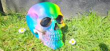 Load image into Gallery viewer, RAINBOW SKULL