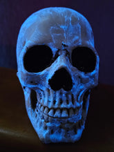 Load image into Gallery viewer, GLOW IN THE DARK SKULL