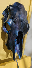 Load image into Gallery viewer, Large genuine cow skull backlit &amp; painted with black/chameleon resin by me