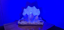 Load image into Gallery viewer, HANDMADE CLAM SHELL LAMP (large)