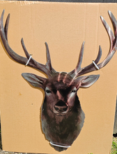 Load image into Gallery viewer, STAG WALL ART