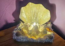 Load image into Gallery viewer, HANDMADE CLAM SHELL LAMP (large)