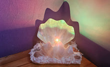 Load image into Gallery viewer, HANDMADE CLAM SHELL LAMP (large)