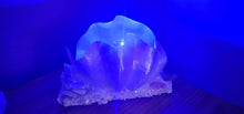 Load image into Gallery viewer, HANDMADE SHELL LAMP
