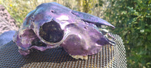 Load image into Gallery viewer, PAINTED SHEEP SKULL