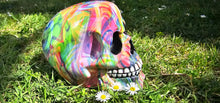 Load image into Gallery viewer, HIPPY DESIGNS SKULLs