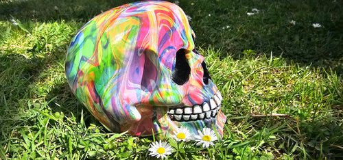 HIPPY DESIGNS SKULLs