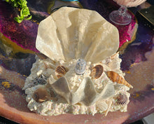 Load image into Gallery viewer, HANDMADE CLAM SHELL LAMP (large)