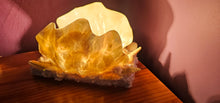 Load image into Gallery viewer, HANDMADE SHELL LAMP