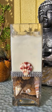 Load image into Gallery viewer, BEACHY FRENCH LAVENDER &amp; VANILLA CANDLE