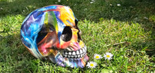 Load image into Gallery viewer, HIPPY DESIGNS SKULLs