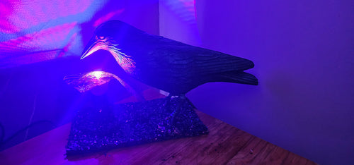 HANDMADE BLACK CROW LAMP