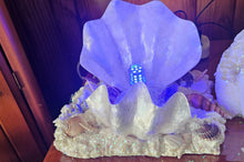 Load image into Gallery viewer, HANDMADE CLAM SHELL LAMP (large)