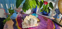 Load image into Gallery viewer, HANDMADE SHELL LAMP