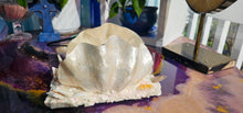 Load image into Gallery viewer, HANDMADE SHELL LAMP