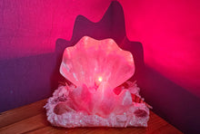 Load image into Gallery viewer, HANDMADE CLAM SHELL LAMP (large)