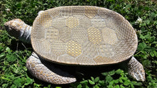 Load image into Gallery viewer, Sale🔥TURTLE JEWELERY TRINKET DISH