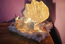 Load image into Gallery viewer, HANDMADE CLAM SHELL LAMP (large)
