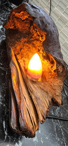 UNIQUE HANDMADE SWAMP KAURI BURL LAMP