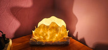 Load image into Gallery viewer, HANDMADE SHELL LAMP