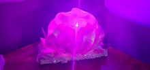 Load image into Gallery viewer, HANDMADE SHELL LAMP