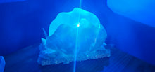 Load image into Gallery viewer, HANDMADE SHELL LAMP