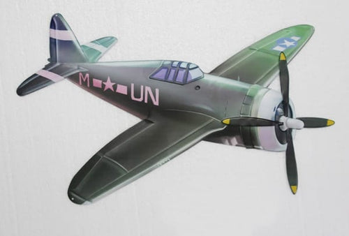Sale🔥PLANE WALL ART
