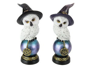 MYSTICAL OWL ON CRYSTAL BALL