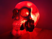 Load image into Gallery viewer, SKULL &amp; ROSES COLOUR CHANGING LAMP-unique made by me