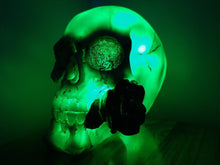 Load image into Gallery viewer, SKULL &amp; ROSES COLOUR CHANGING LAMP-unique made by me