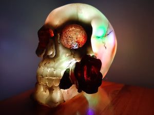 SKULL & ROSES COLOUR CHANGING LAMP-unique made by me