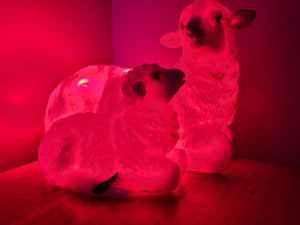 Sale💥UNIQUE EWE & LAMB LAMP-made by me