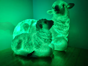 Sale💥UNIQUE EWE & LAMB LAMP-made by me