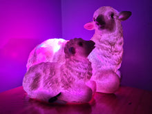 Load image into Gallery viewer, Sale💥UNIQUE EWE &amp; LAMB LAMP-made by me