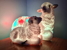 Load image into Gallery viewer, Sale💥UNIQUE EWE &amp; LAMB LAMP-made by me