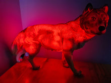 Load image into Gallery viewer, UNIQUE LARGE WOLF LAMP-made by me