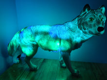Load image into Gallery viewer, UNIQUE LARGE WOLF LAMP-made by me