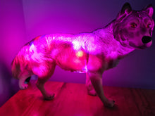 Load image into Gallery viewer, UNIQUE LARGE WOLF LAMP-made by me