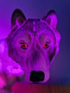 UNIQUE LARGE WOLF LAMP-made by me