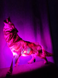 UNIQUE HOWLING WOLF LAMP-made by me