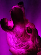 Load image into Gallery viewer, UNIQUE HOWLING WOLF LAMP-made by me