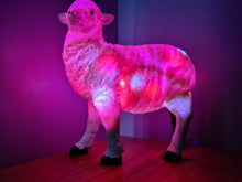 Load image into Gallery viewer, Sale💥SHEEP LAMP-made by me