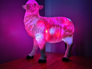 Sale💥SHEEP LAMP-made by me