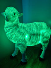 Load image into Gallery viewer, Sale💥SHEEP LAMP-made by me