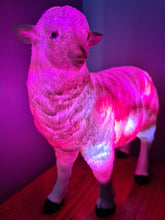 Load image into Gallery viewer, Sale💥SHEEP LAMP-made by me