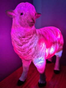 Sale💥SHEEP LAMP-made by me