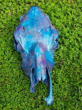Load image into Gallery viewer, COST🔥GENUINE COW SKULL -backlit lighting ,painted with chameleon resin by me
