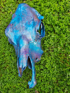 COST🔥GENUINE COW SKULL -backlit lighting ,painted with chameleon resin by me