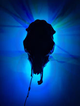 Load image into Gallery viewer, COST🔥GENUINE COW SKULL -backlit lighting ,painted with chameleon resin by me