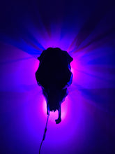 Load image into Gallery viewer, COST🔥GENUINE COW SKULL -backlit lighting ,painted with chameleon resin by me